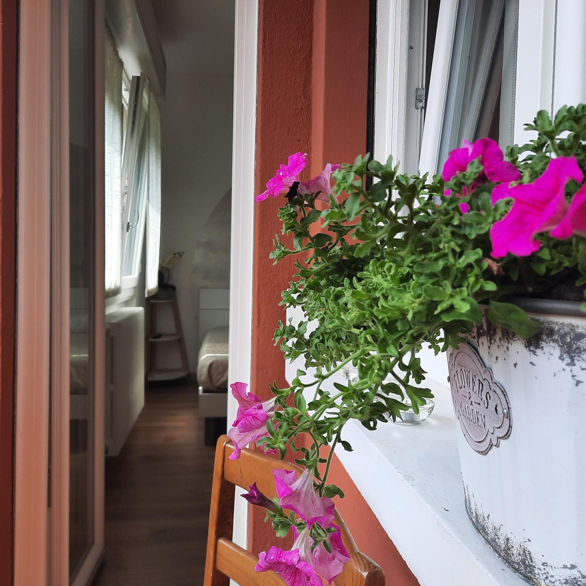 Apartament Sprio House Omegna Zewnętrze zdjęcie